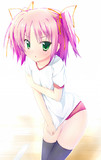 な、何見てるのよ！