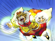 寅符「ハングリータイガー」