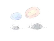 虫ちゃんの世界にもいろいろあるそうです。