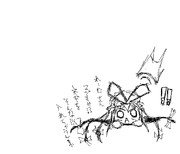 スキマ妖怪は見た