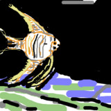 エンゼルフィッシュ