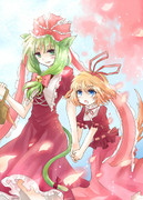 けもみみひなめでぃ