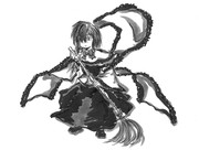 落ち葉を・・・