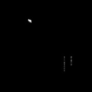 猟奇的なプー（２）