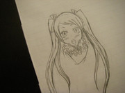 テガミバチ　ニッチ