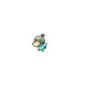 合体ポケモン ニコニコ静画 イラスト