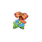 合体ポケモン ニコニコ静画 イラスト