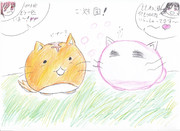 ポヨとももねこ