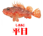 秋はサンマの季節