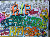 R.I.P TERRY THE AKI-06(Graffiti)