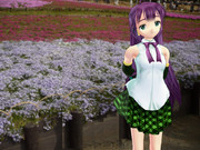 【MikuMikuDanc】５月の公園【紫苑ヨワ】