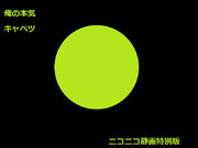 ニコニコ静画のために本気でキャベツを描いてみた