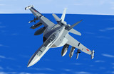 EA-18GJ グラウラー　空自仕様