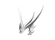 信長公の…あの、あれ。