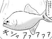 次回予告的な何か＠41