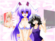 水着で〆る２０１１年