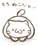 （　・ω・　）もっちりねこ