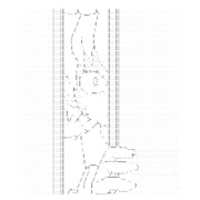 【AA化】星くんは見た【昼虎】