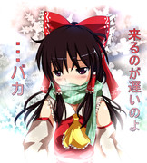 ぎゅっとしたい霊夢