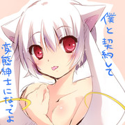 いんきゅべたこ