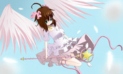 さくらちゃんマジ天使