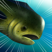 シイラれているんだ！