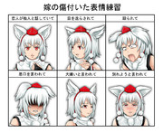 適当に嫁をいじってみる