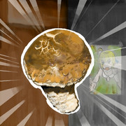 椎茸がいるんだ！