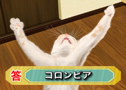 コロンビア ニコニコ静画 イラスト