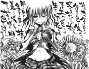 向日葵畑で捕まえて