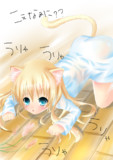 ぬこむすめ。