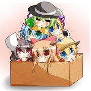 拾ってください