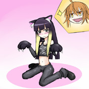 ２月２２日はネコの日