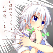 お嬢様は私が守ります