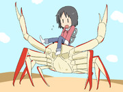 今日のなのちゃん