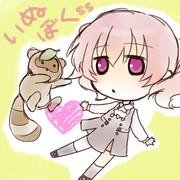 【らくがき】渡狸とカルタ