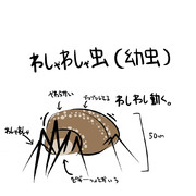 ワシャワシャ虫