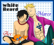 マルコ＆エース