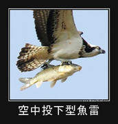 空中投下型魚雷