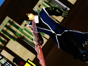 桜前線異常なし２