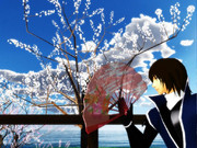 桜前線異常なし４