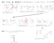 SAO     複合ソードスキル≪シュトゥルム・ウント・ドラング≫