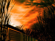 竹林を抜けたそこが永遠亭