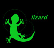 lizard