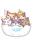 ねこポッケ