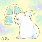 梅雨：うさぎ