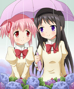まどほむ×梅雨＝相合傘