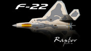 スマホ壁紙用F-22 and shadow
