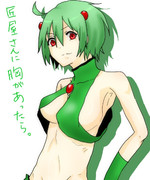 もしも匠屋さんに胸があったら。