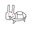 うさかめ